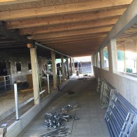 IMG_0390